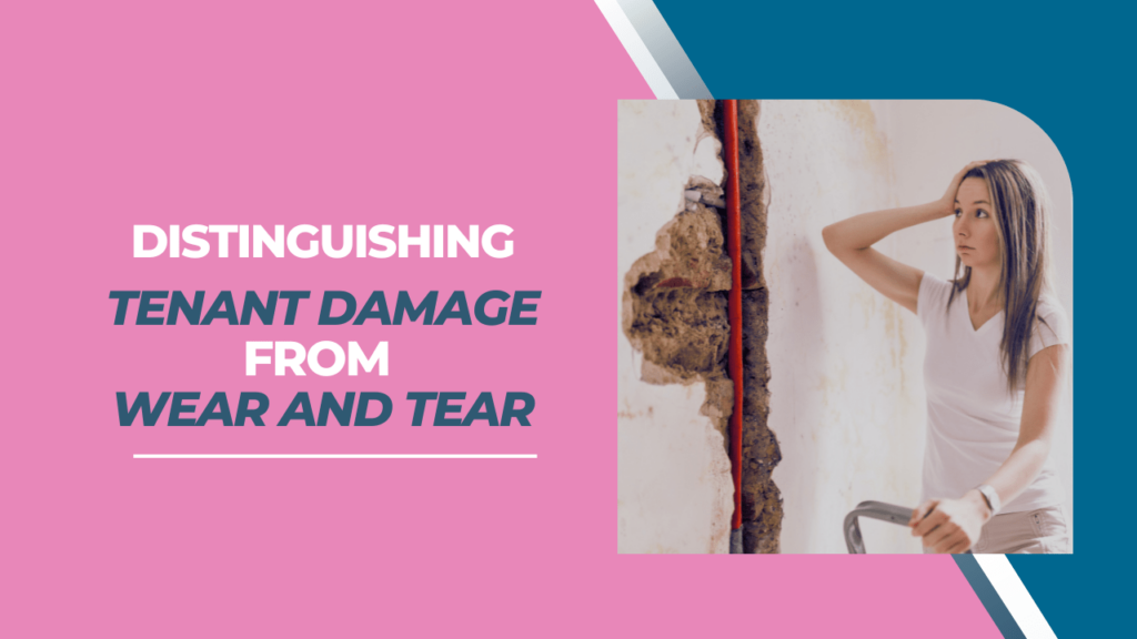San Mateo Landlord Guide: Distinguishing Tenant Damage from Wear and Tear - Article Banner