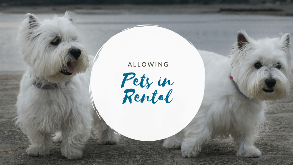 Should I Allow Pets in My San Mateo Rental? Property Management Expert Answers - article banner