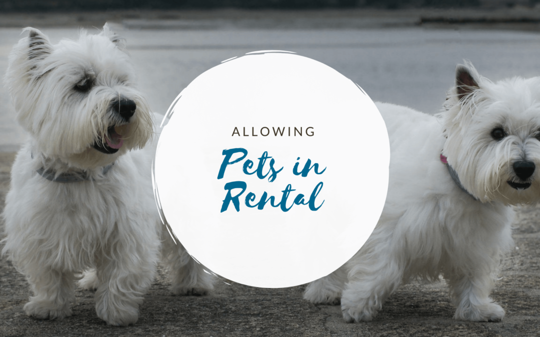 Should I Allow Pets in My San Mateo Rental? Property Management Expert Answers