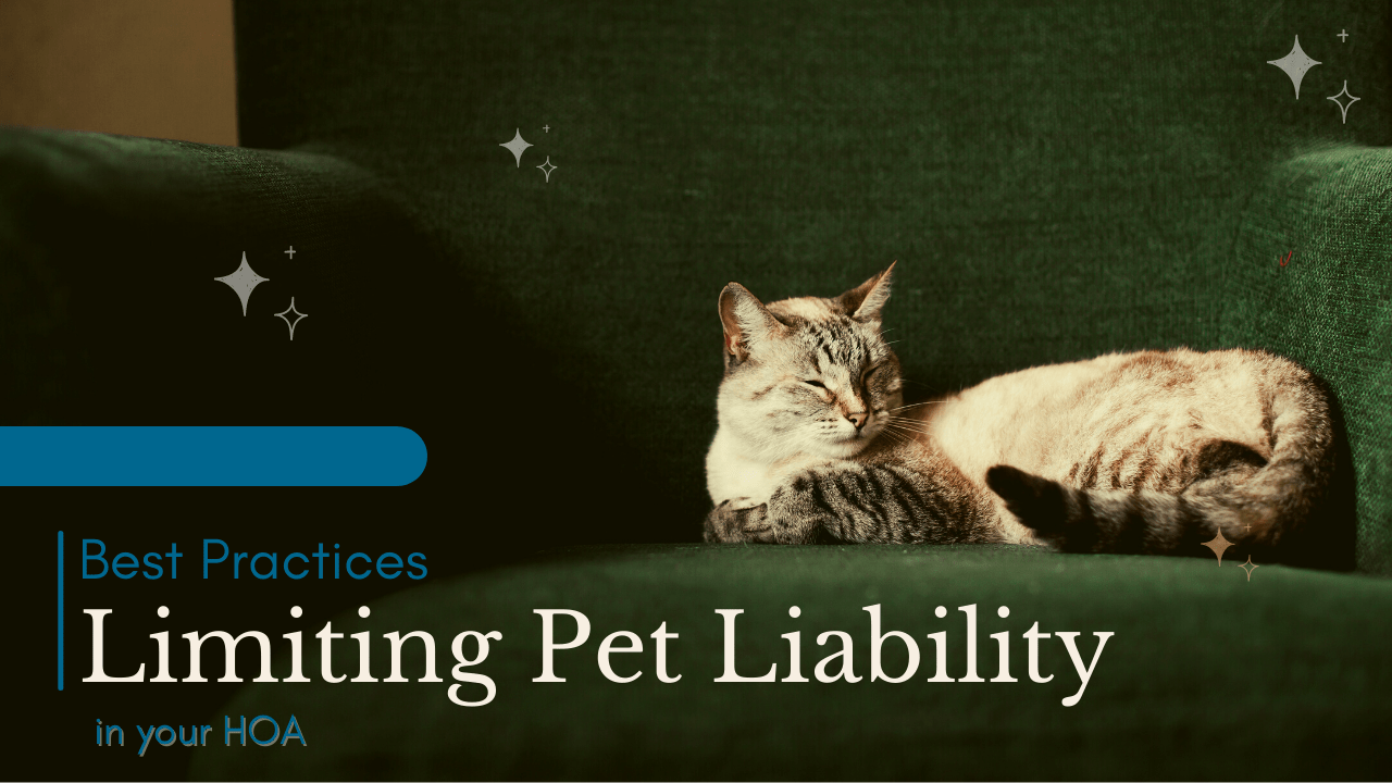 Best Practices for Limiting Pet Liability in your San Mateo HOA